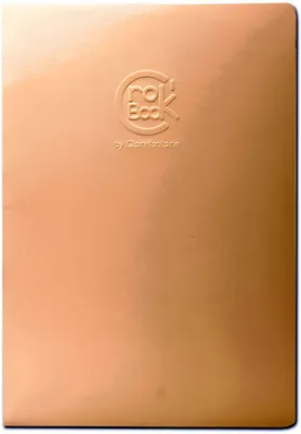 Immagine prodotto di Clairefontaine Crok'Book A4 alto 90g 24 fogli avorio