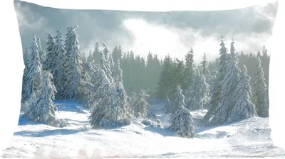 Produktbild von MuchoWow® Zierkissen Sofakissen Wohnzimmer Dekokissen 60x40 cm Wald - Schnee - Winter - Kopfkissen - Polster mit Foto