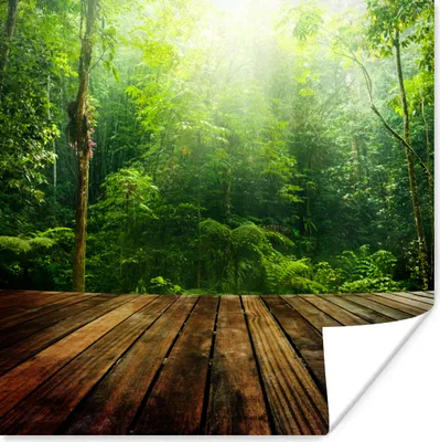 Produktbild von MuchoWow® Poster Boden - Holz - Dschungel - Jungen - Mädchen - Kinder - Kind 100x100 cm - Babyzimmer