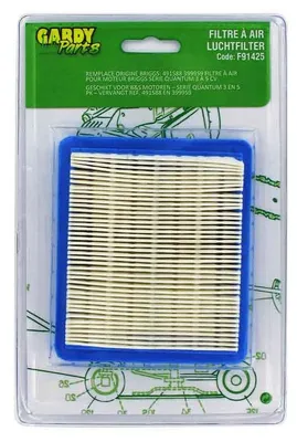 Image de Filtre Briggs Pour Moteur Quantum (remplace : 491588)