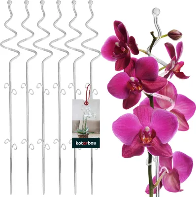 Produktbild von KOTARBAU® 6er Set Pflanzenstütze Transparent PVC 58 cm Spirale Blumenstütze Rankhilfe Zimmerpflanzen Blumenstütze Garten Orchideenstab Stützstab Pflanzen dekorative Pflanzenhalter Zimmerpflanzen Rankstäbe