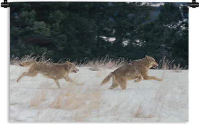 Produktbild von MuchoWow® Wandteppich Wandbehang Wolf - Baum - Tiere 120x80 cm Tapisserie Dekoration Wandtuch - Wanddekorationen - Wandtücher