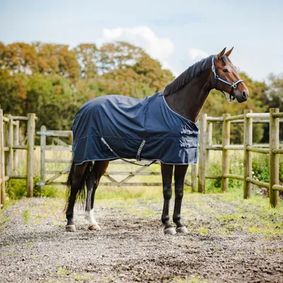 Immagine prodotto di Horse Guard Tappeto per cavalli Landon, 120D, 0 g - navy - 115 cm