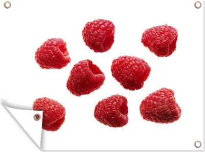 Produktbild von MuchoWow®