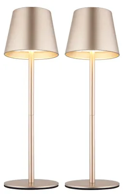 Produktbild von 2x LED Tischlampe, champagner, Touchdimmer, Flaschenaufsatz