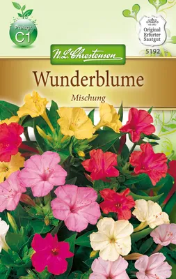 Produktbild von Wunderblume Mix | Blumensamen von N.L. Chrestensen