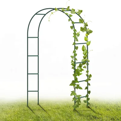Immagine prodotto di Arco da giardino in acciaio verniciato a polvere, ideale per piante rampicanti