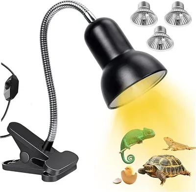 Produktbild von Wärmelampe für Schildkröten, Reptilien-Terrarienlampe, Wärmelampe für Terrarium mit 360? schwenkbarer Klemmklammer, 25 W, 2 x 50 W Glühbirne, UVA, UVB-Wärmeheizung, Schildkröte, Schlange, Eidechse usw., Halogen