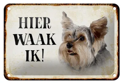 Produktbild von Blechschild Spruch 18x12cm holländisch Hier Waak ik Yorkshire Terrier Hund Deko