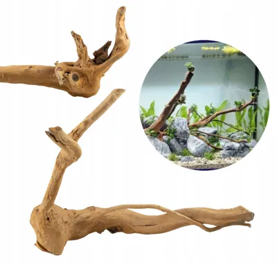 Zdjęcie produktu dla Dekoracja akwariowa – korzeń, Red Moor, 40–50 cm, masywna, ciemnobrązowa