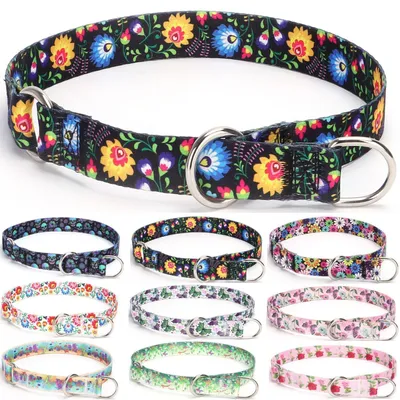 Immagine prodotto di Collare martingala per cani da addestramento, con anello di arresto, colore nero