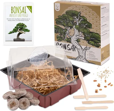 Produktbild von Bonsai Starter Kit inkl. GRATIS eBook & Gewächshaus (Australische Kiefer + Ölbaum)