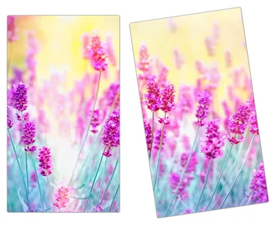 Produktbild von Spritzschutz Herdabdeckplatte Schneidebrett aus Glas Lavendelblüten 2-Teilig (60x52cm)
