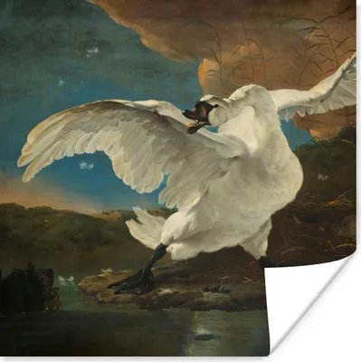 Produktbild von MuchoWow® Poster Schwan - Alte Meister - Jan Asselijn 50x50 cm - Wohnzimmerdekoration