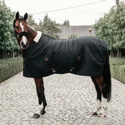 Image de Kentucky Horsewear Couverture d'écurie 400g Stable Rug Couverture de cheval noire 165
