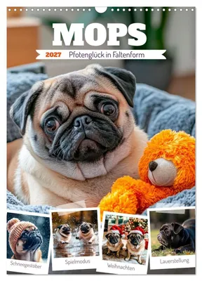 Produktbild von MOPS Pfotenglück in Faltenform (Wandkalender 2027 DIN A3 hoch), CALVENDO Monatskalender