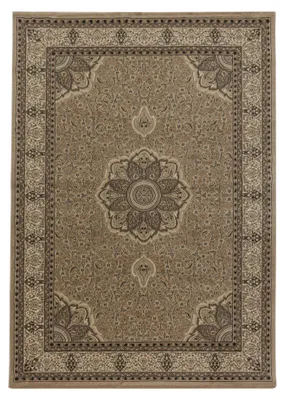 Produktbild von Carpetsale24 Orientteppich, Klassischer Teppich für Wohnzimmer mit Ornament-Muster, Pflegeleicht & Elegant, Grösse: 300x400 cm