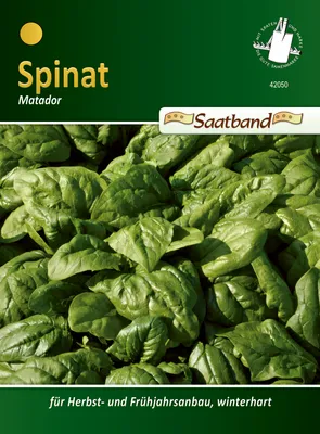 Produktbild von Spinat Matador (Saatband) | Spinatsamen von N.L. Chrestensen