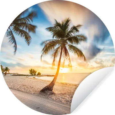 Produktbild von MuchoWow® Runde Wandtattoo - Wandsticker Tapete Aufkleber Sonnenuntergang - Strand - Palme Ø 30 cm Selbstklebend und Repositionierbar - Wandaufkleber - Kreis - Wandbild - Fototapete - Selbstklebend - Dekoration - Wandschmuck - Schlafzimmer