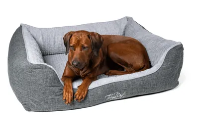 Produktbild von TrendPet VitaBed Classic orthopädisches Hundebett grau (120x100x25cm)
