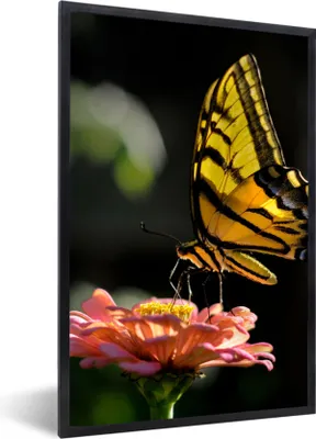 Produktbild von MuchoWow® Gerahmtes Poster Schmetterling - Botanisch - Blume 60x90 cm - Poster mit Schwarzem Bilderrahmen Wandposter Rahmen Foto Bilder - Kunst