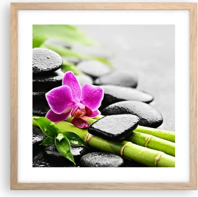 Produktbild von Gerahmtes Poster - Rahmen in heller Eiche - Pflanze Steine Bambus Spa - 40x40 cm - Wand Bild - Wanddeko - Wandbilder - Wandposter - Bilderrahmen - Bilder - Kunstdruck - Wandbild - P2NAC40x40-2681