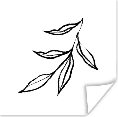 Produktbild von MuchoWow® Poster Blätter - Zweig - Strichzeichnung 75x75 cm - Wand Dekoration