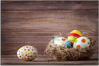 Produktbild von Wallario Outdoor-Poster für Garten oder Balkon, Motiv Bunte bemalte Eier an Ostern im Vorgelnest vor hölzerner Wand, in ca. 61 x 91,50 cm