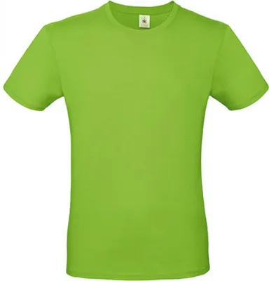 Produktbild von B&C TU01T | Herren T-Shirt E150 / -100  - Farbe: Orchid Green - Größe: 3XL