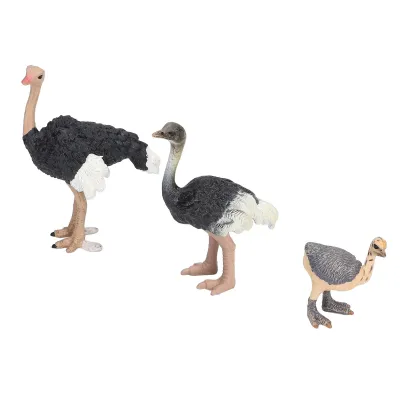 Produktbild von Straußenspielzeug,Tierfiguren,Tiermodell,Kunststofftiere,Zootiere,Spielzeugvögel für Kinder