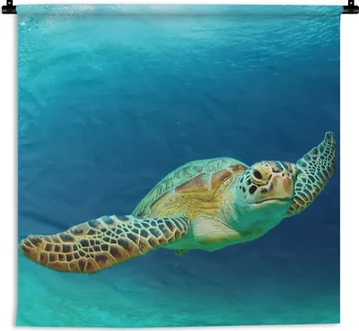 Produktbild von MuchoWow® Wandteppich Wandbehang Nahaufnahme einer Grünen Meeresschildkröte 90x90 cm Tapisserie Dekoration Wandtuch - Wandaufhänger