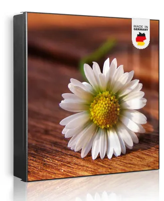 Zdjęcie produktu dla banjado metalowa szafka na klucze, duża 30x30 cm z 32 haczykami, może służyć jako tablica magnetyczna, czarny korpus, zawias po lewej stronie, Gänseblümchen [SKG2 10081]