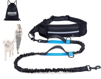 Obrázek produktu pro Elastické vodítko pro psy s reflexním prvkem a kapsou