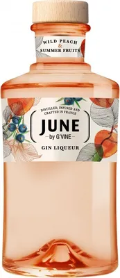 Produktbild von June - Gin Liqueur Genf Frankreich  70.00 cl 28.0 %