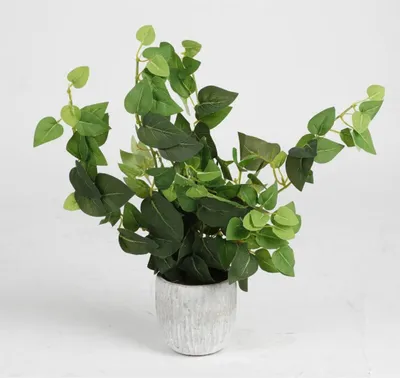 Produktbild von 12 Stück Künstlicher Efeu 32cm im Keramiktopf Kunstblumen Pflanzen Dekoration Set