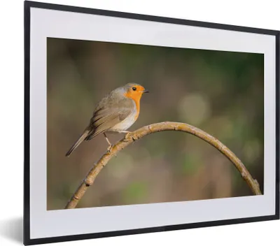 Produktbild von MuchoWow® Gerahmtes Poster Rotkehlchen - Vogel - Natur 40x30 cm - Poster mit Schwarzem Bilderrahmen Wandposter Rahmen Foto Bilder - Bilderrahmen - Poster im Rahmen