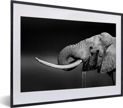 Produktbild von MuchoWow® MuchoWow® Gerahmtes Poster Elefant - Wasser - Schwarz - Weiß 40x30 cm - Poster mit zchwarzem Bilderrahmen - Bilderrahmen - Poster im Rahmen