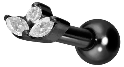 Produktbild von Ohrpiercing Titan Ohrpiercing mit Innengewinde LOTUSBLÜTE Schwarz Stablänge: 6mm