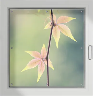 Produktbild von Wallario Lichtschutzbild, Dekorativer Sichtschutz Sonnenschutz 96 x 93 cm mit Motiv: Herbstblume - Verdunklung ohne Bohren