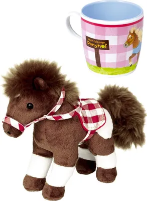 Produktbild von Coppenrath Verlag 13339 14759 Mein kleiner Ponyhof