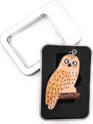 Produktbild von Schlüsselanhänger Holz Eule Vogel Kauz Uhu Tier Wald Anhänger in Geschenkbox