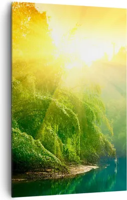 Produktbild von Bild auf Leinwand - Leinwandbild - Einteilig - Tropen Bäume Fluss - 80x120cm - Wand Bild - Wanddeko - Wandbilder - Leinwanddruck - Wanddekoration - Leinwand bilder - Wandbild - PA80x120-0166