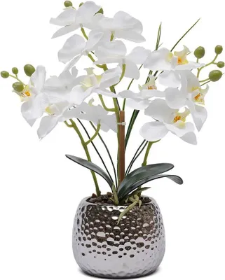 Produktbild von Künstliche Phalaenopsis Orchidee - Topfpflanze - Realistisch, Keramiktopf, Pflegeleicht, Innenbereich, Tischdekoration, Einzugsgeschenk - Weiß