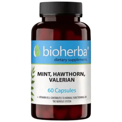 Produktbild von Bioherba | Mint , Hawthorn and Valerian