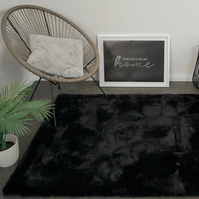 A black rug is placed on the floor next to a chair with a pillow, a plant, and a framed picture.