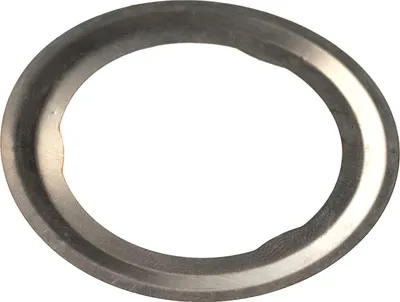 Immagine prodotto di Guarnizione valvola EGR 55253339
