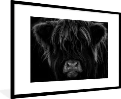 Produktbild von MuchoWow® Gerahmtes Poster Schottischer Highlander - Kuh - Schwarz - Weiß - Porträt 90x60 cm - Poster mit Schwarzem Bilderrahmen Wandposter Rahmen Foto Bilder - Wanddekoration - Fotos