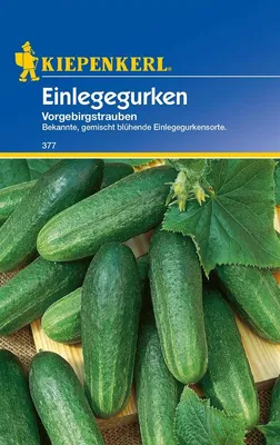 Produktbild von Einlegegurken Vorgebirgstrauben