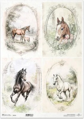Zdjęcie produktu dla Papier ryżowy do decoupage A3 ITD-1411L konie