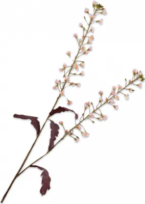 Produktbild von Silk-ka Kunstblume - Seidenblume Primelzweig rosa 85 cm